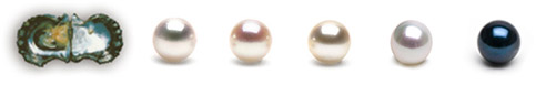 Akoya pearls